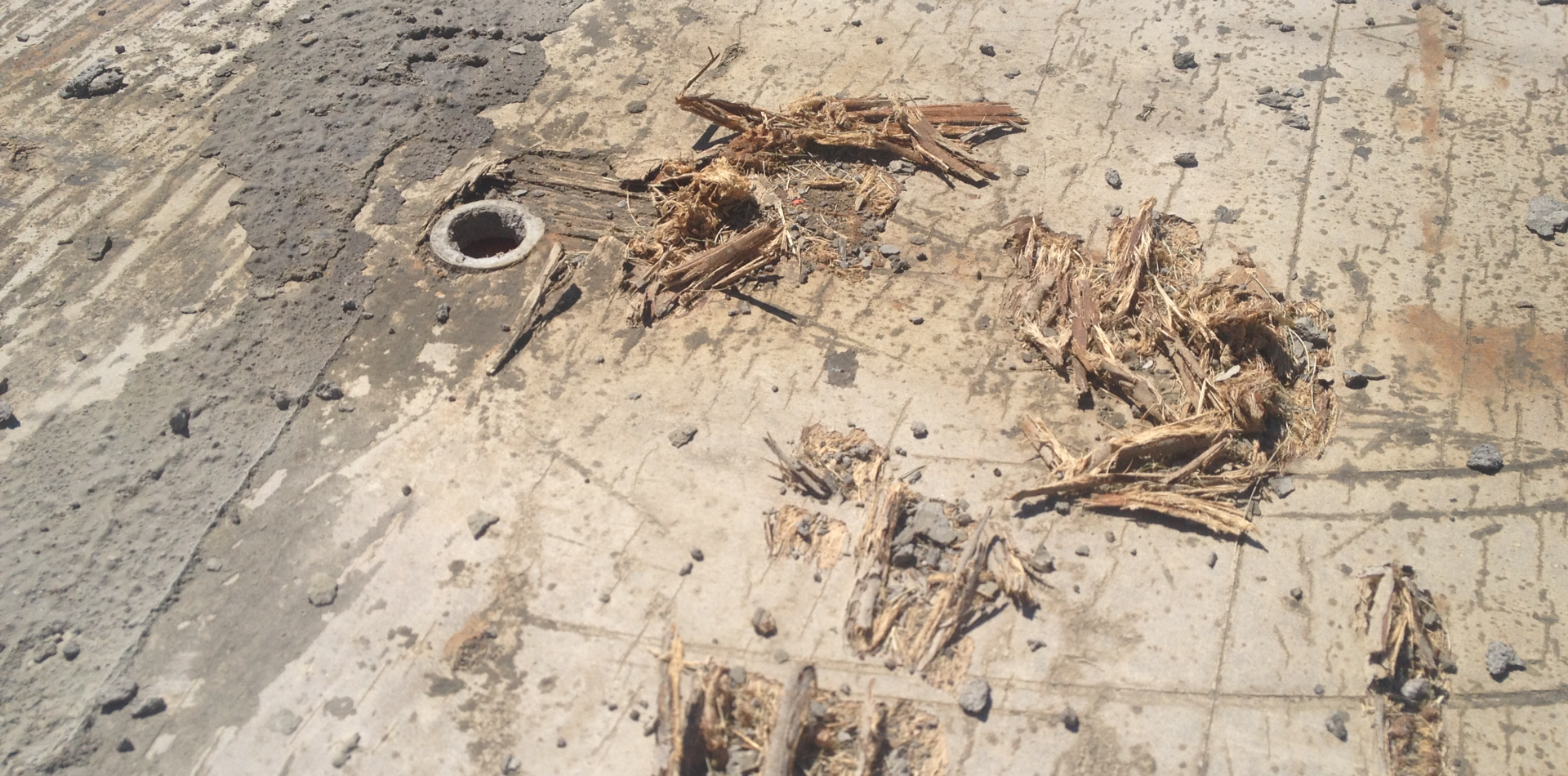 61eb0168106e99f3cad788cbdc755580c81f0eee